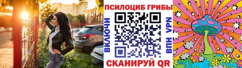 Купить  Великий Устюг  Псилоцибиновые грибы Psilocybine cubensis 